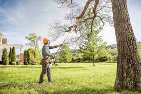 Best Lawn Grading and Leveling  in Stonegate, CO